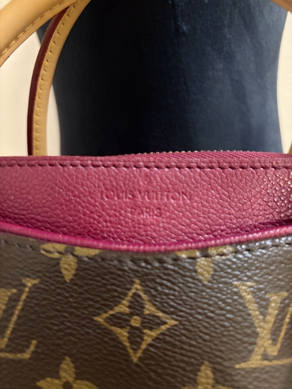 LOUIS VUITTON Large Pallas PM Bag! NWOT With Authentic Dust Bag & COA Included - Picture 6 of 15